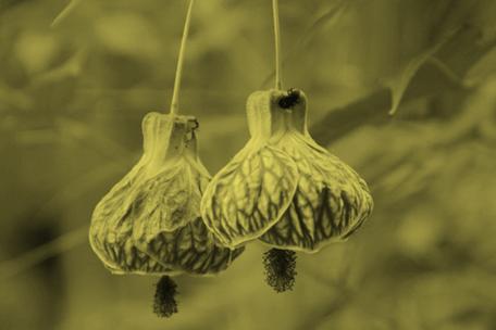 Defina um posicionamento