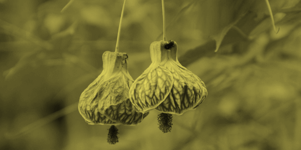 Defina um posicionamento