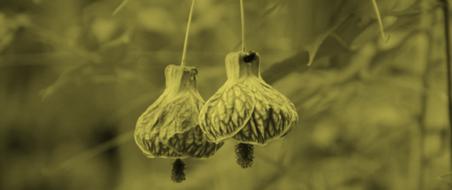 Defina um posicionamento